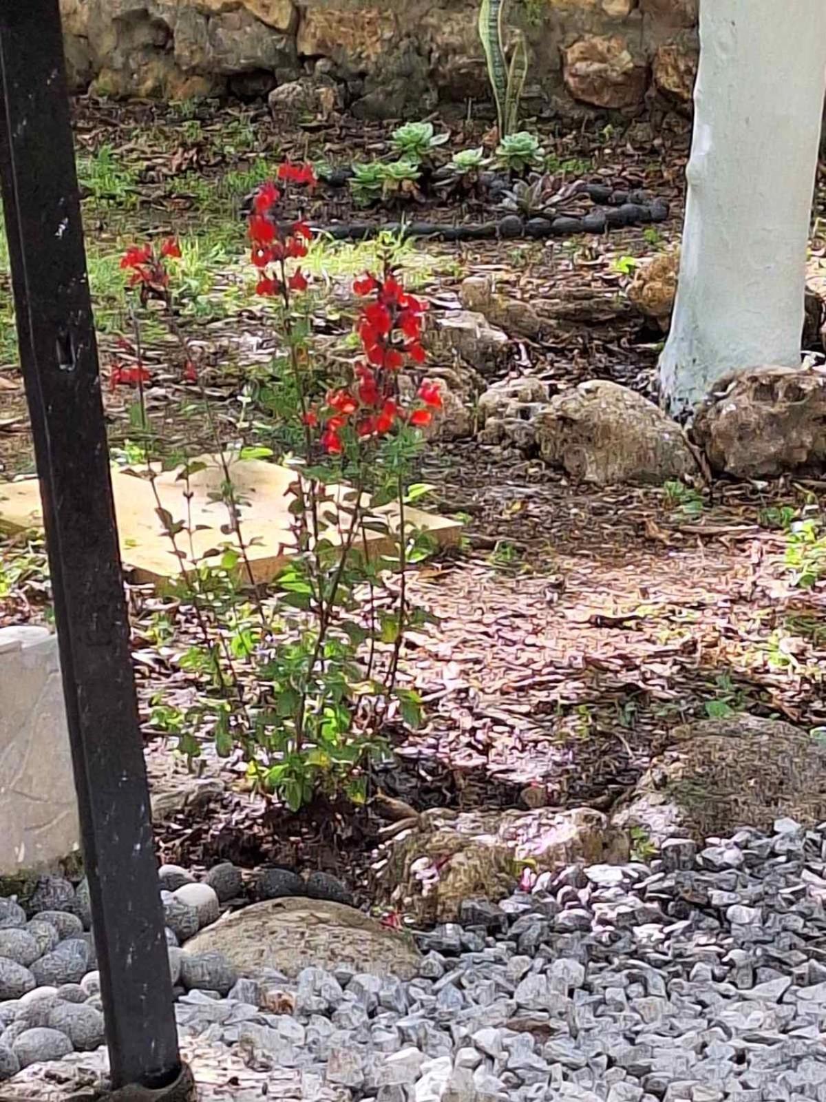 Family Stone Apartment คิปปาริสเซีย ภายนอก รูปภาพ
